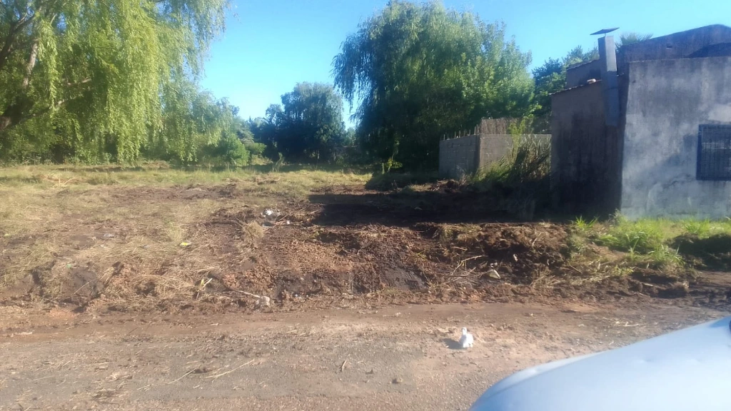 WhatsApp Image 2025-12-17 at 09.58.29 (1).webp