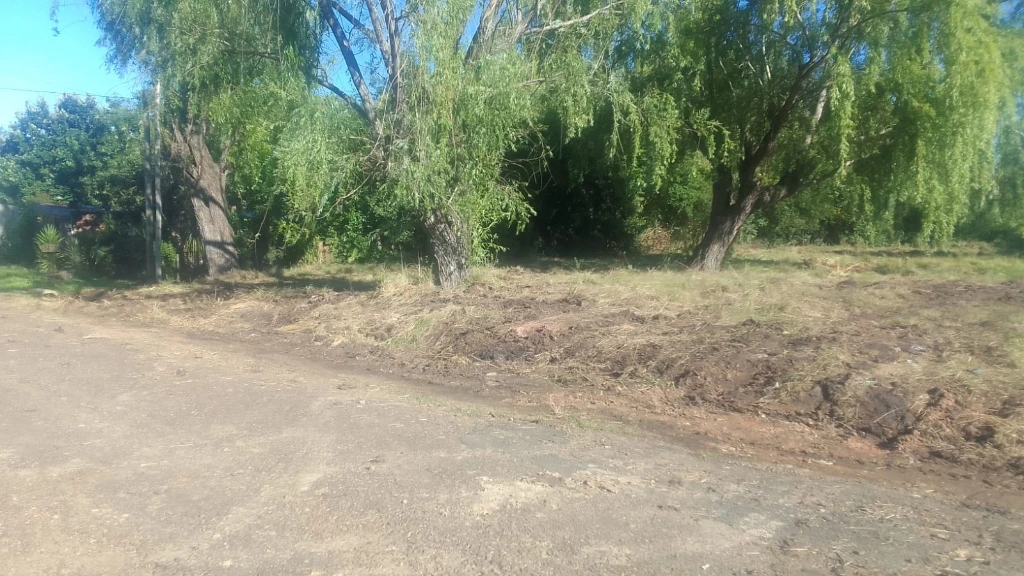 WhatsApp Image 2025-12-17 at 09.58.28.webp