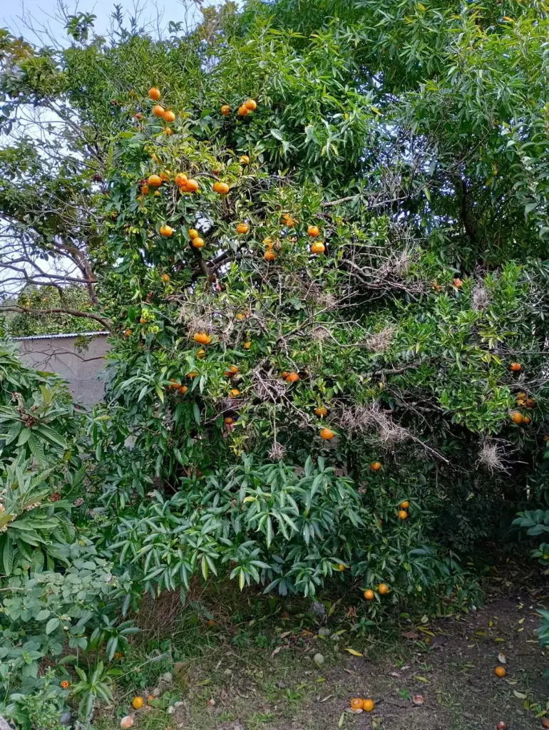 WhatsApp Image 2025-11-03 at 21.50.30 (3).webp