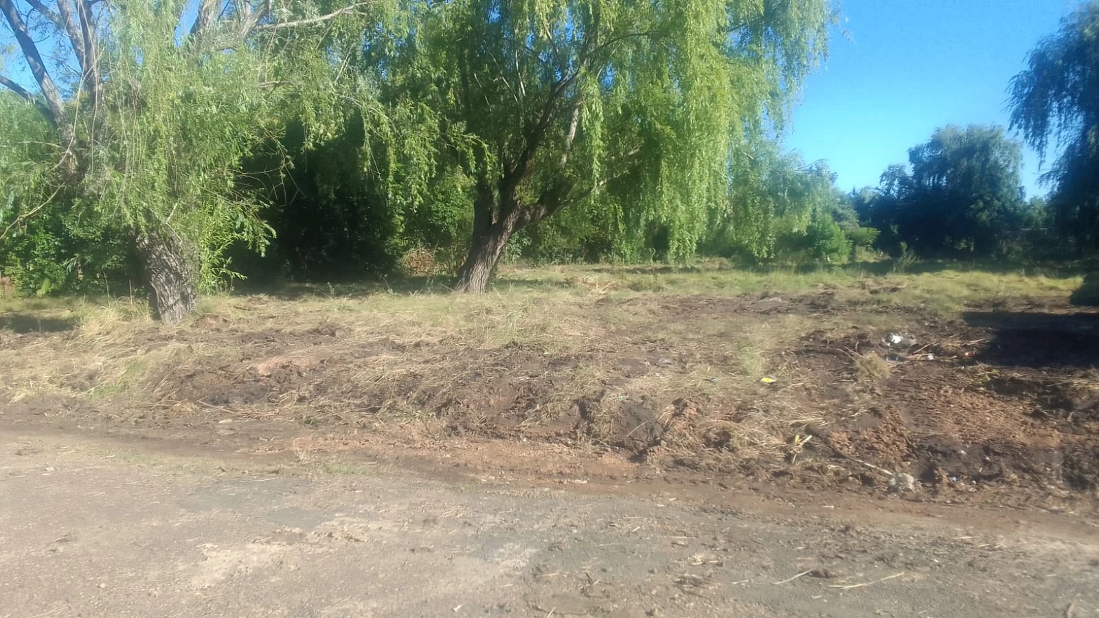 Terrenos en Barrio Progreso - Salto - USD 90 x m2